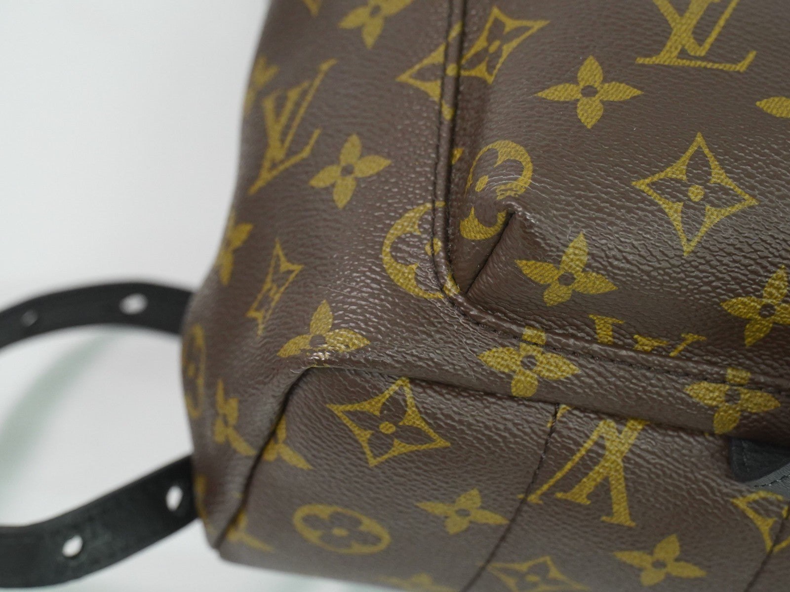 Louis Vuitton Palm Springs Backpack Monogram Canvas Brown Canvas Backpack Bag