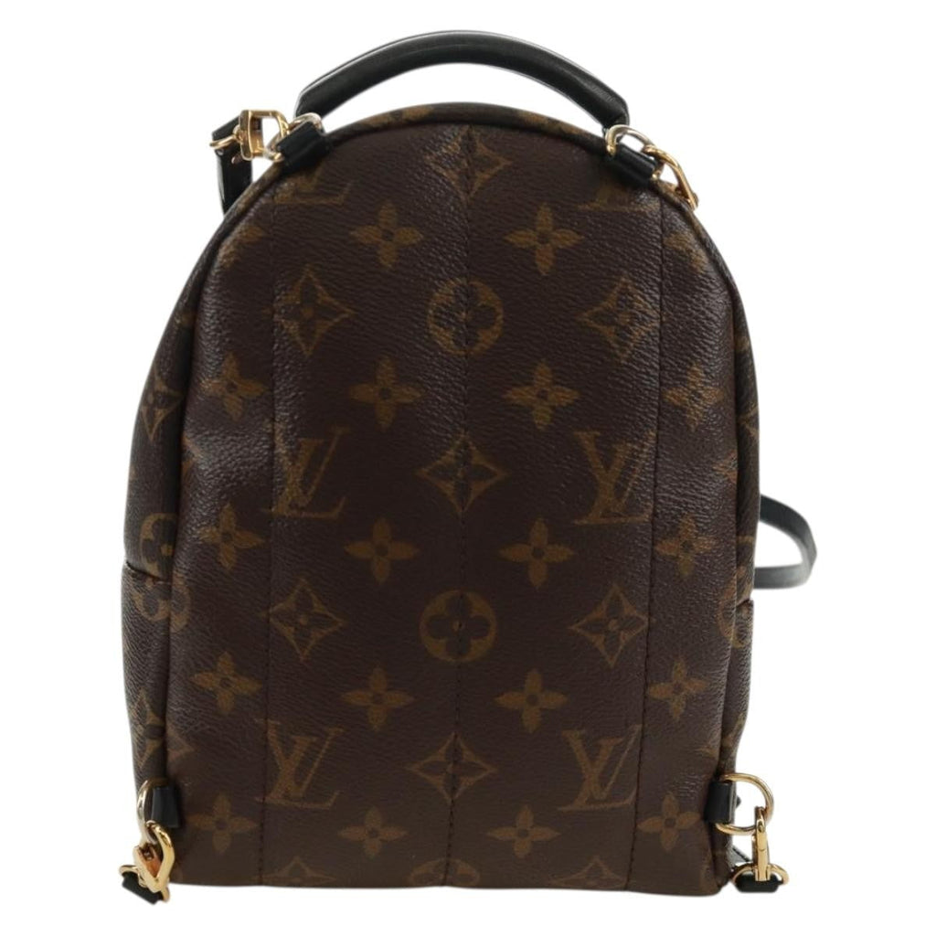 Louis Vuitton Palm Springs Backpack Limited Edition World Tour Monogram Canvas Brown Canvas Backpack Bag