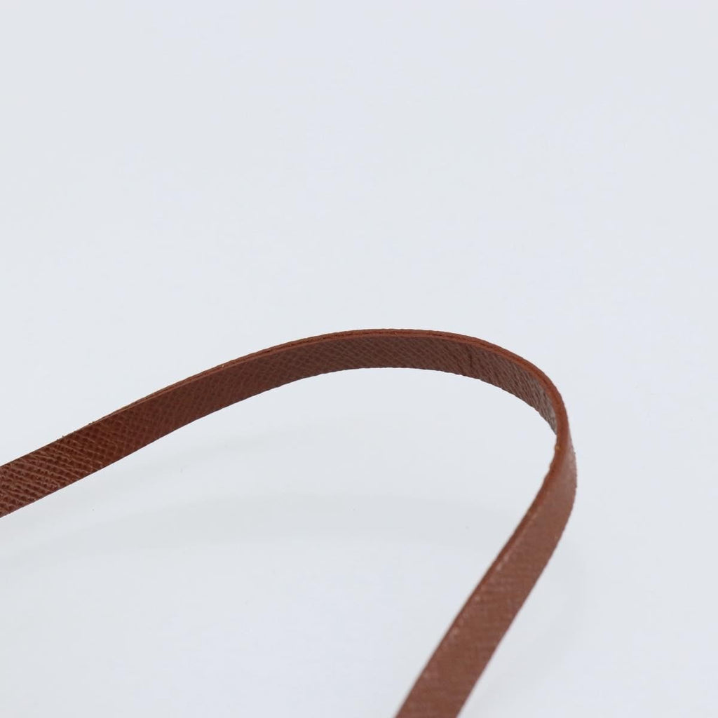 Louis Vuitton Papillon Pochette Monogram Canvas Brown Canvas Clutche & Pouche Bag