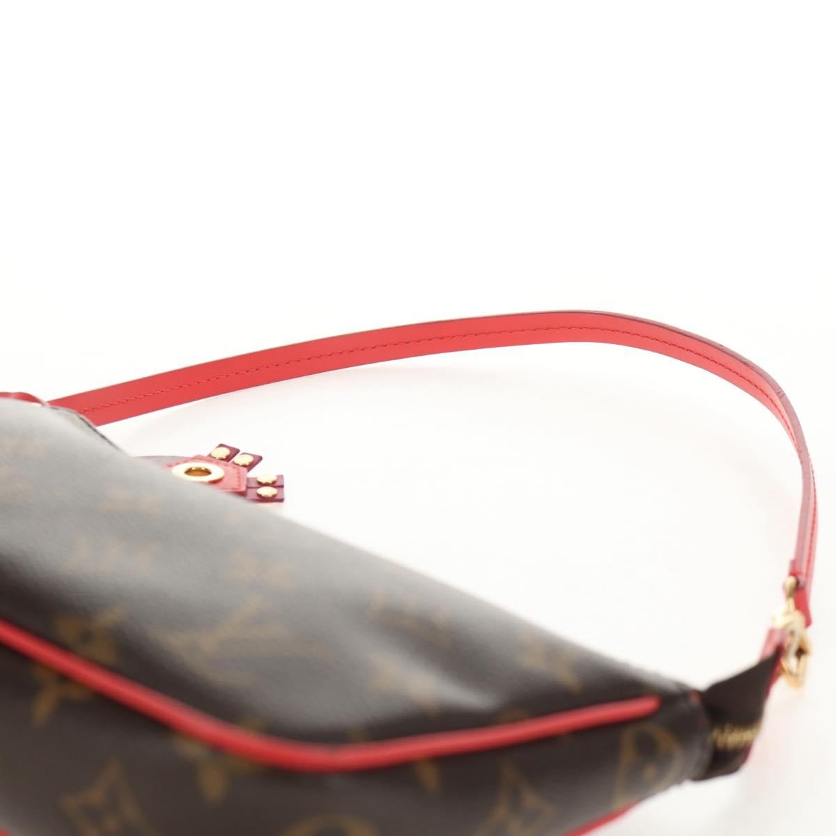 Louis Vuitton Pochette Accessoires Nm Limited Edition Totem Monogram Canvas Brown Canvas Clutche & Pouche Bag