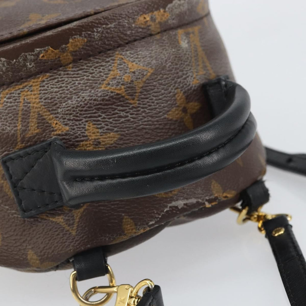 Louis Vuitton Palm Springs Backpack Monogram Canvas Brown Canvas Backpack Bag