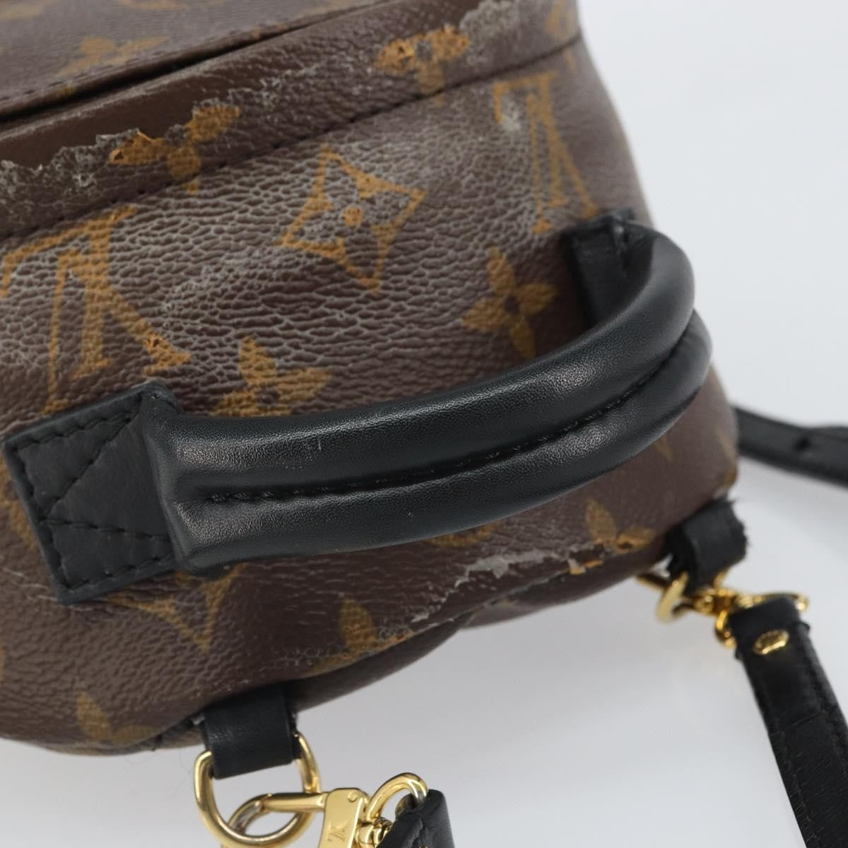 Louis Vuitton Palm Springs Backpack Monogram Canvas Brown Canvas Backpack Bag