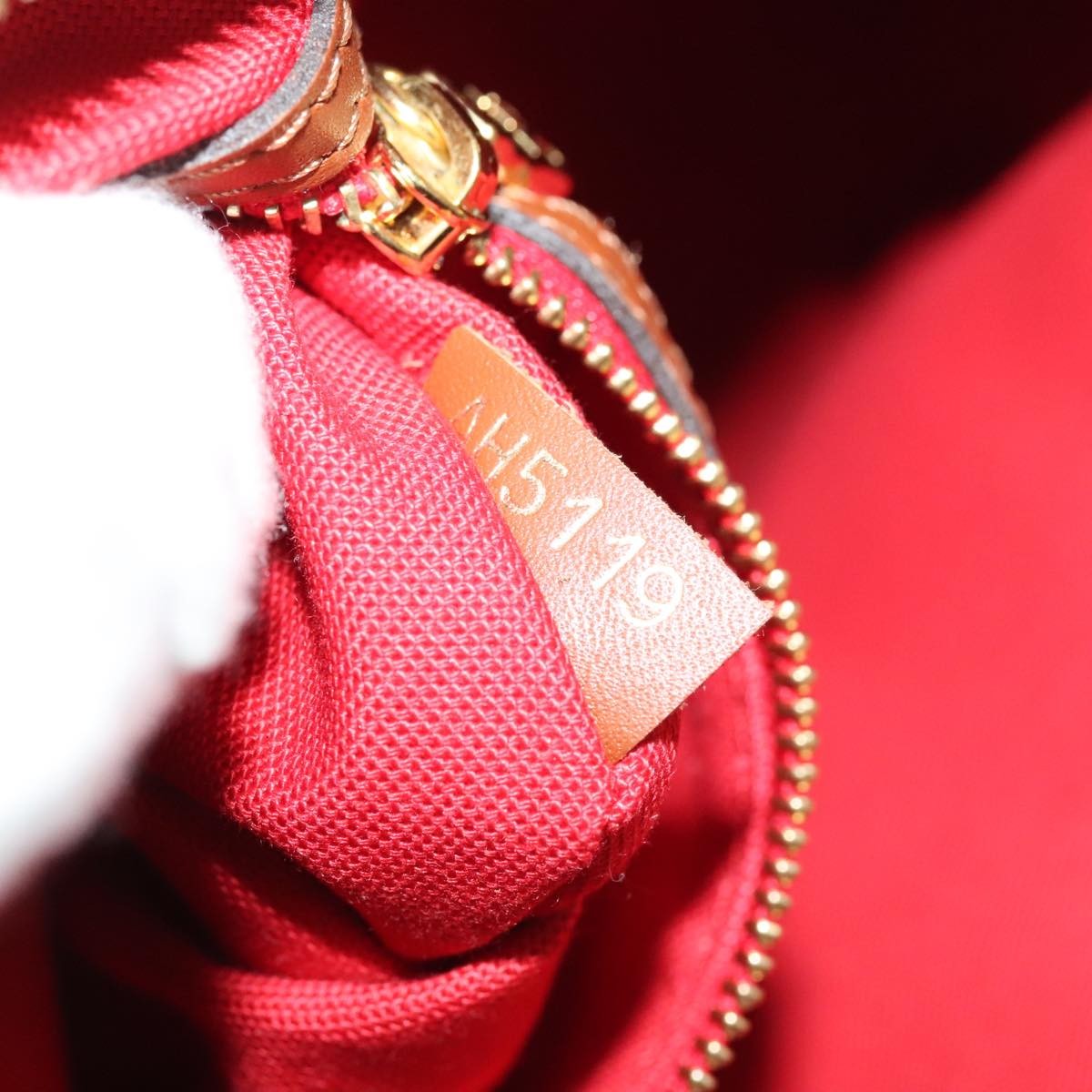 Louis Vuitton Speedy Bandouliere Bag Monogram Giant Teddy Fleece Brown Fur Shoulder Bag