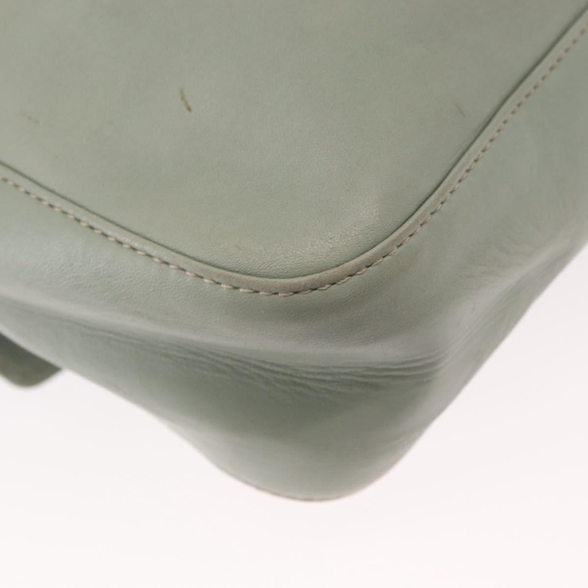 Celine Circle Logo Leather Green Leather Shoulder Bag Bag