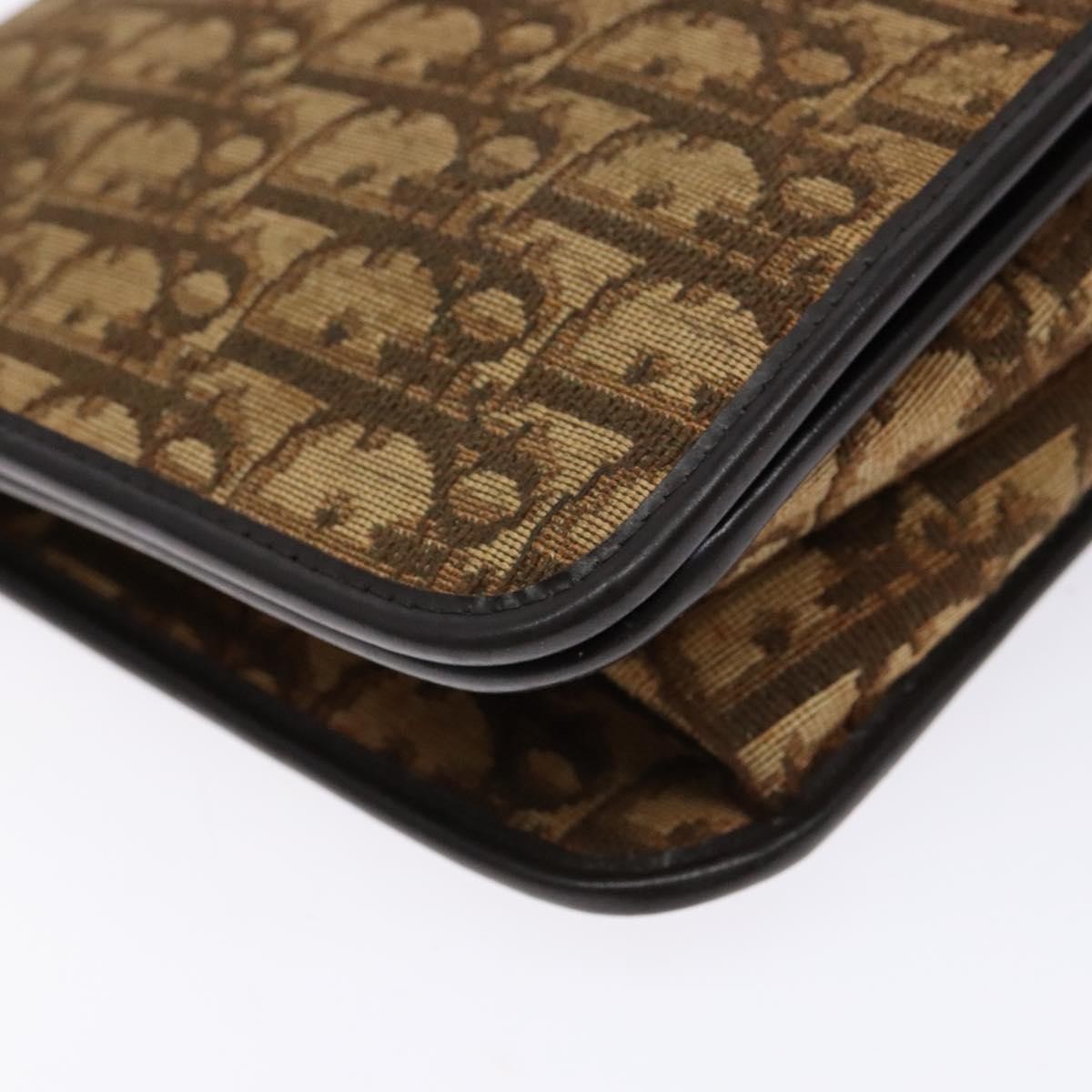 Christian Dior Vintage Trotter Pouch Diorissimo Canvas Brown Canvas Clutche & Pouche Bag (Pre-Owned)