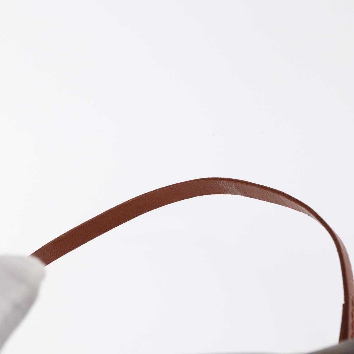 Louis Vuitton Papillon Pochette Monogram Canvas Brown Canvas Clutche & Pouche Bag