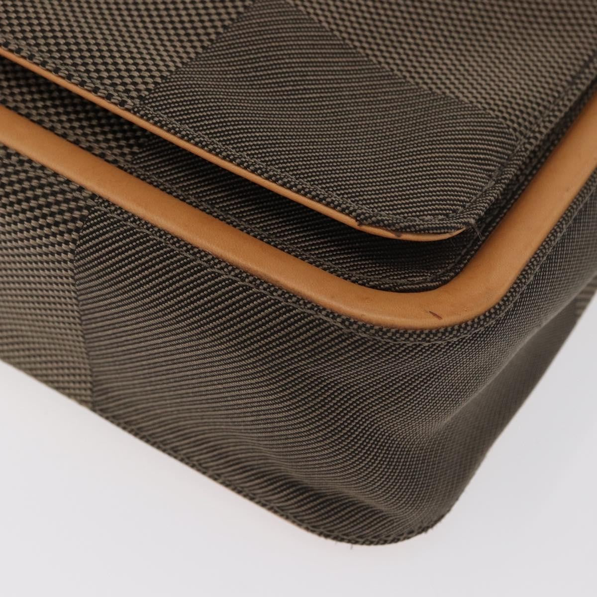 Louis Vuitton Terre Messenger Bag Damier Geant Canvas Brown Canvas Shoulder Bag