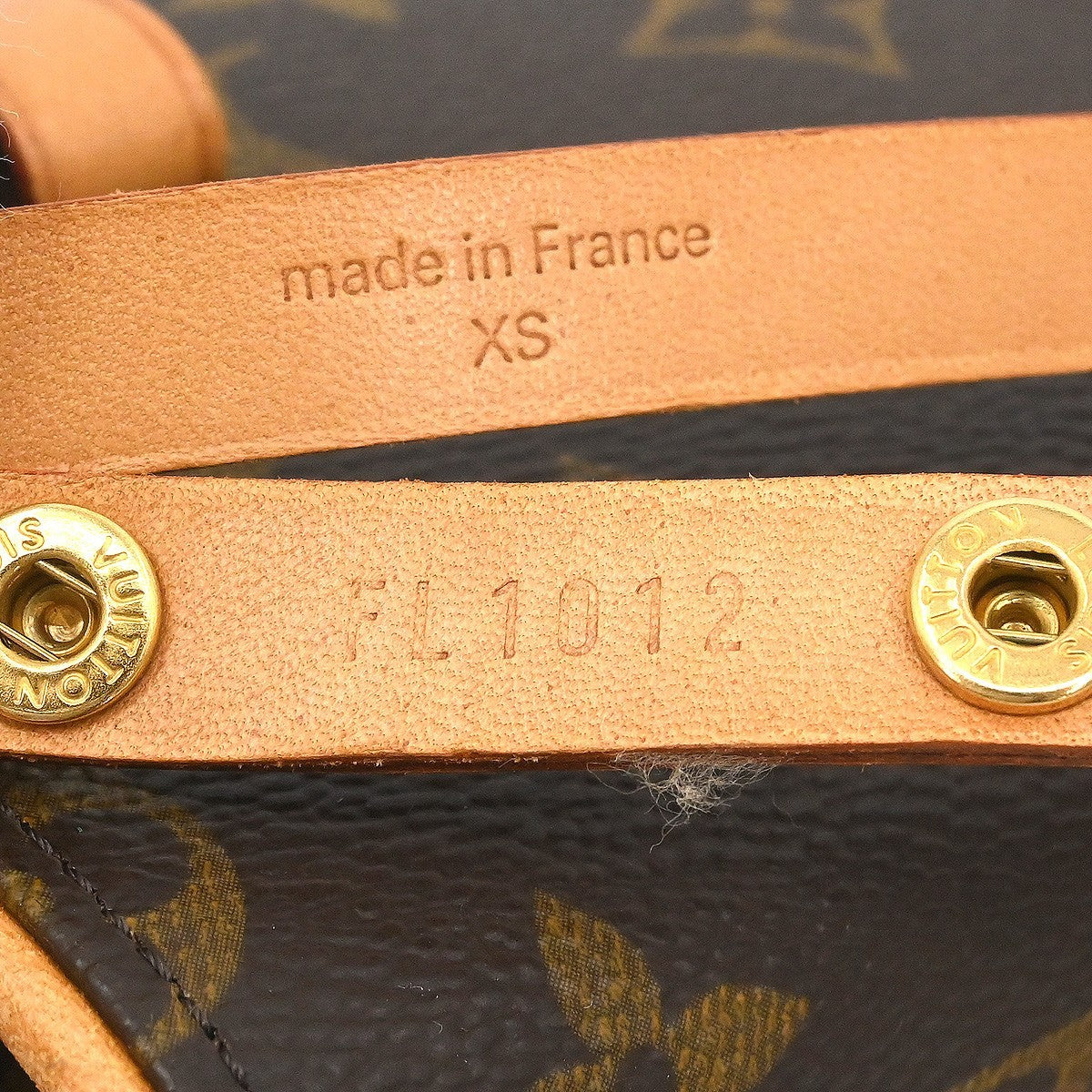 Louis Vuitton Florentine Waist Bag Monogram Canvas Brown Canvas Clutche & Pouche Bag
