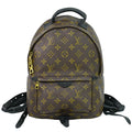 Louis Vuitton Palm Springs Backpack Monogram Canvas Brown Canvas Backpack Bag