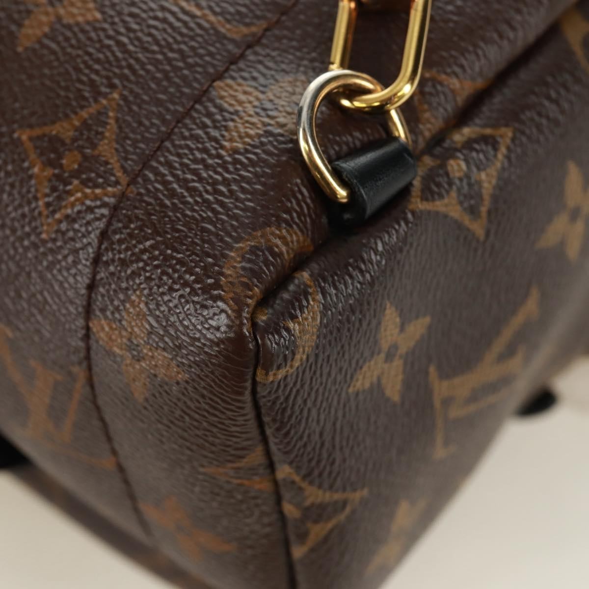 Louis Vuitton Palm Springs Backpack Limited Edition World Tour Monogram Canvas Brown Canvas Backpack Bag