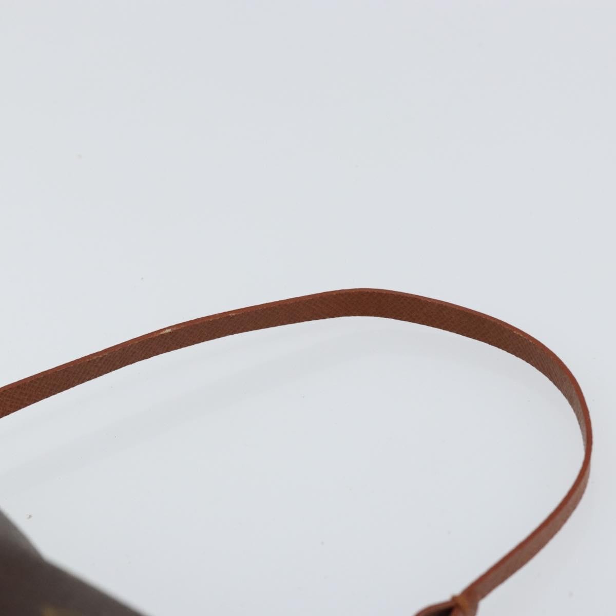 Louis Vuitton Papillon Pochette Monogram Canvas Brown Canvas Clutche & Pouche Bag