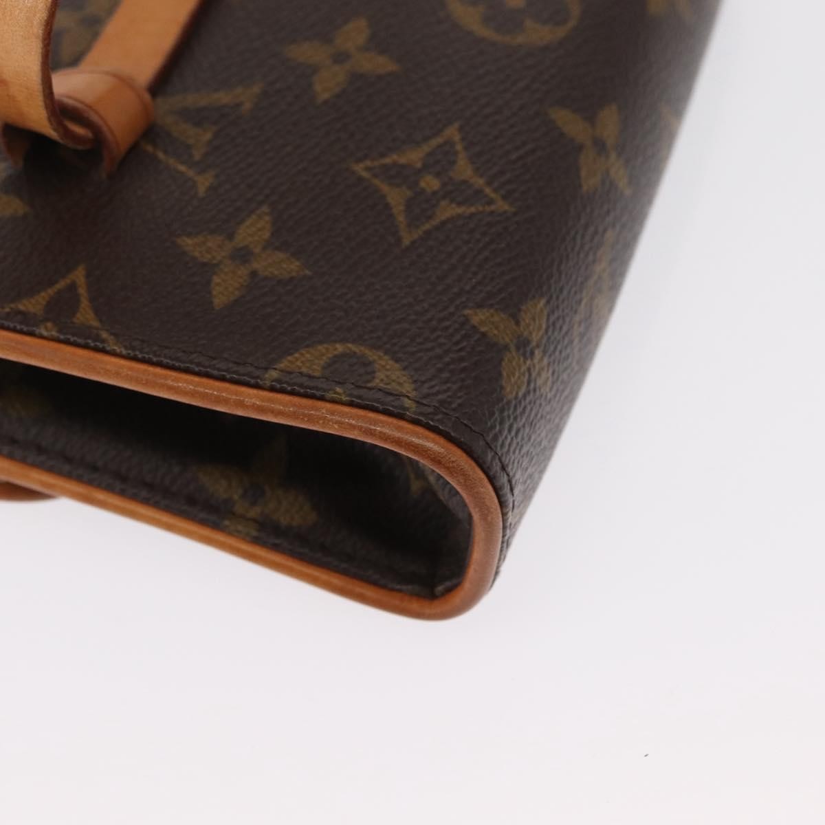 Louis Vuitton Florentine Waist Bag Monogram Canvas Brown Canvas Clutche & Pouche Bag
