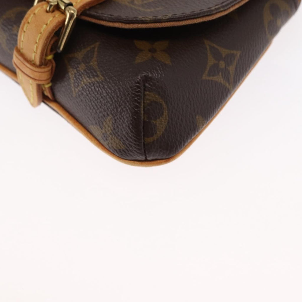 Louis Vuitton Marelle Waist Bag Monogram Canvas Brown Canvas Clutche & Pouche Bag