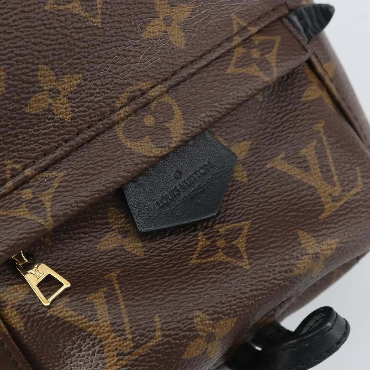 Louis Vuitton Palm Springs Backpack Monogram Canvas Brown Canvas Backpack Bag