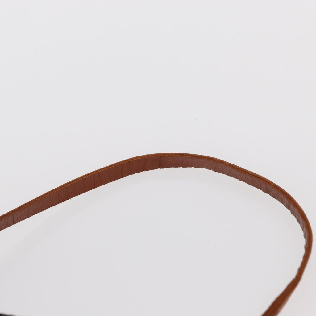 Louis Vuitton Papillon Pochette Monogram Canvas Brown Canvas Clutche & Pouche Bag
