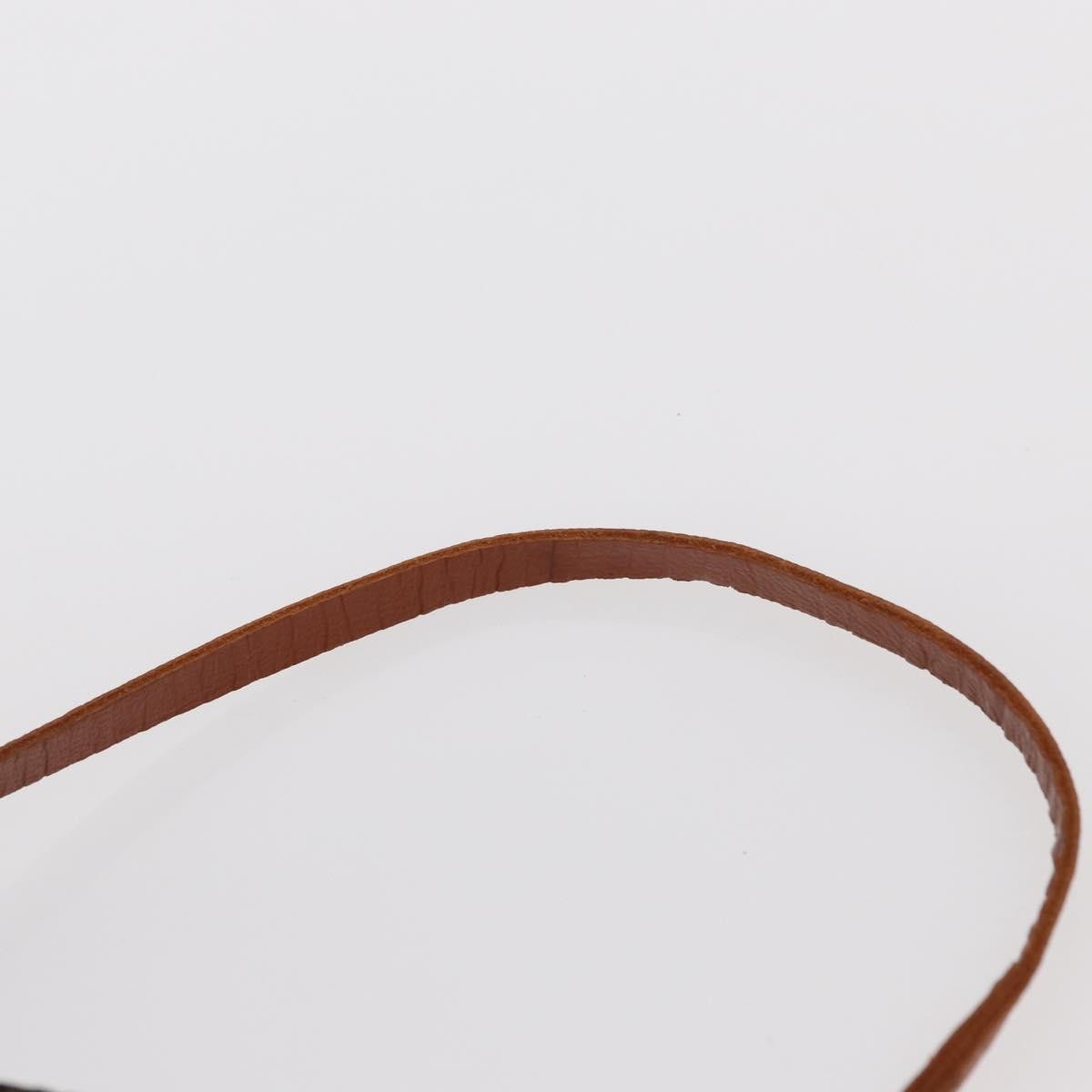 Louis Vuitton Papillon Pochette Monogram Canvas Brown Canvas Clutche & Pouche Bag