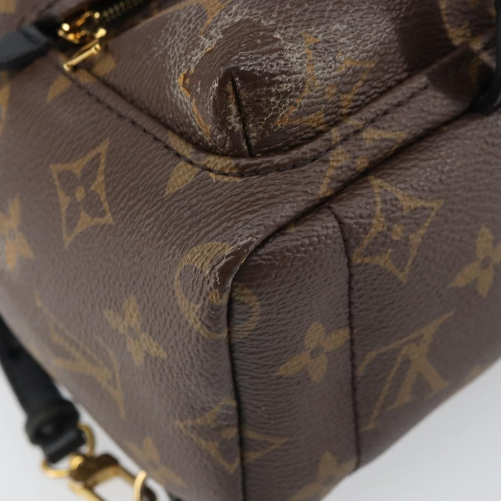 Louis Vuitton Palm Springs Backpack Monogram Canvas Brown Canvas Backpack Bag