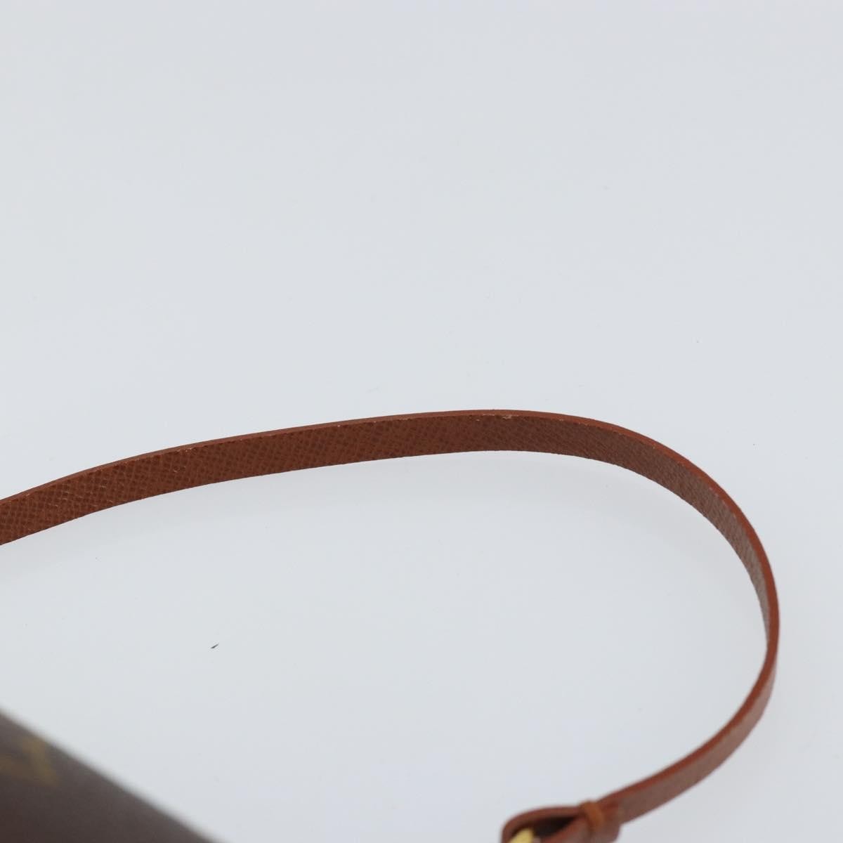 Louis Vuitton Papillon Pochette Monogram Canvas Brown Canvas Clutche & Pouche Bag