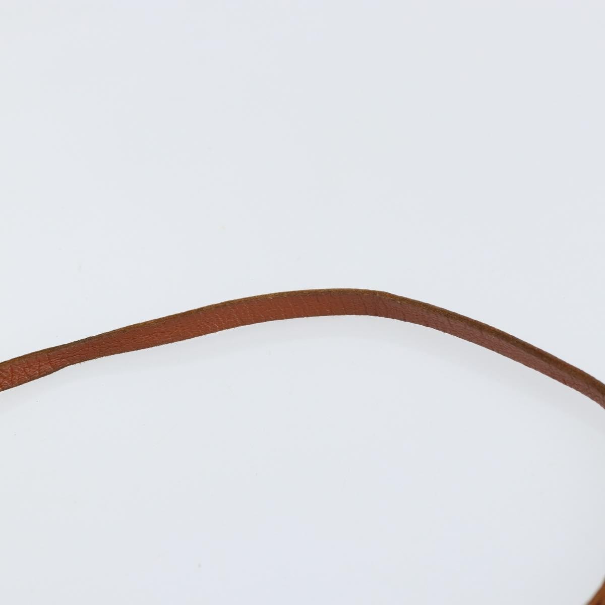 Louis Vuitton Papillon Pochette Monogram Canvas Brown Canvas Clutche & Pouche Bag