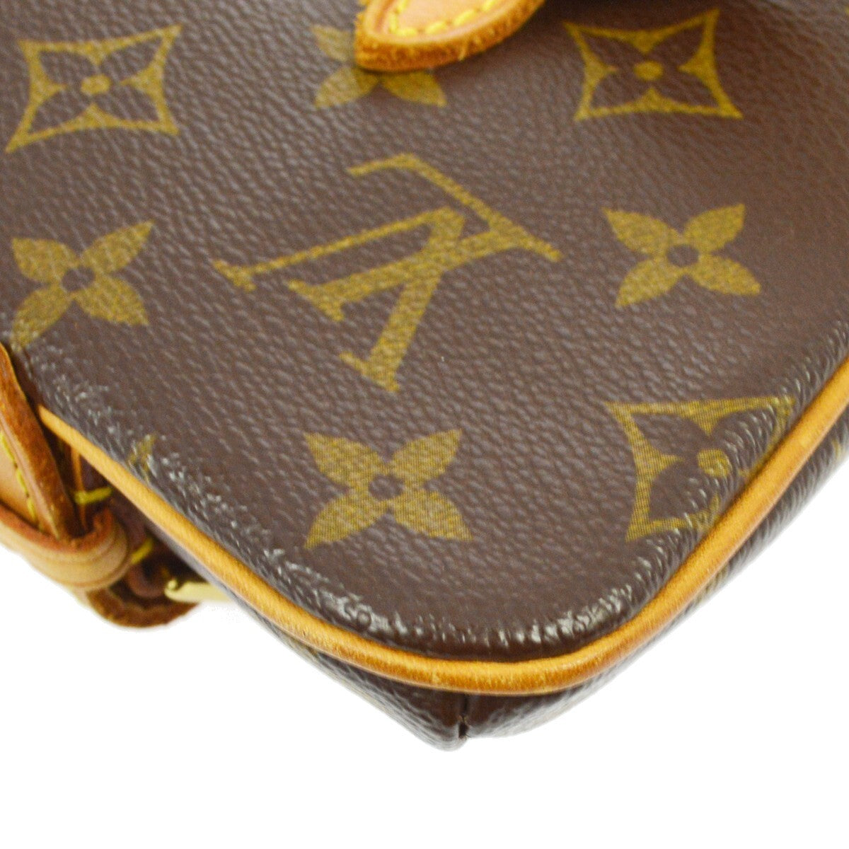 Louis Vuitton Marelle Waist Bag Monogram Canvas Brown Canvas Clutche & Pouche Bag