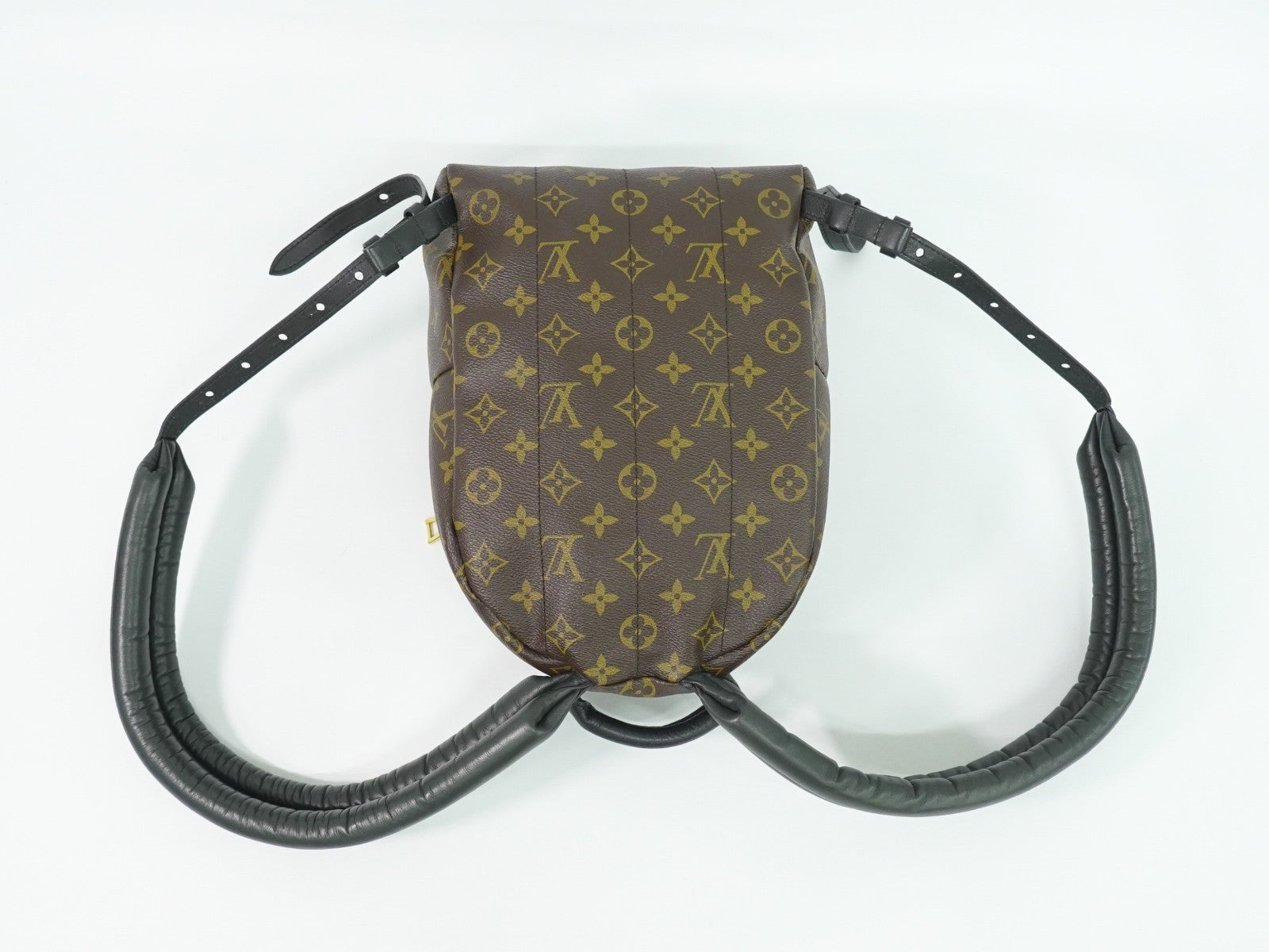 Louis Vuitton Palm Springs Backpack Monogram Canvas Brown Canvas Backpack Bag