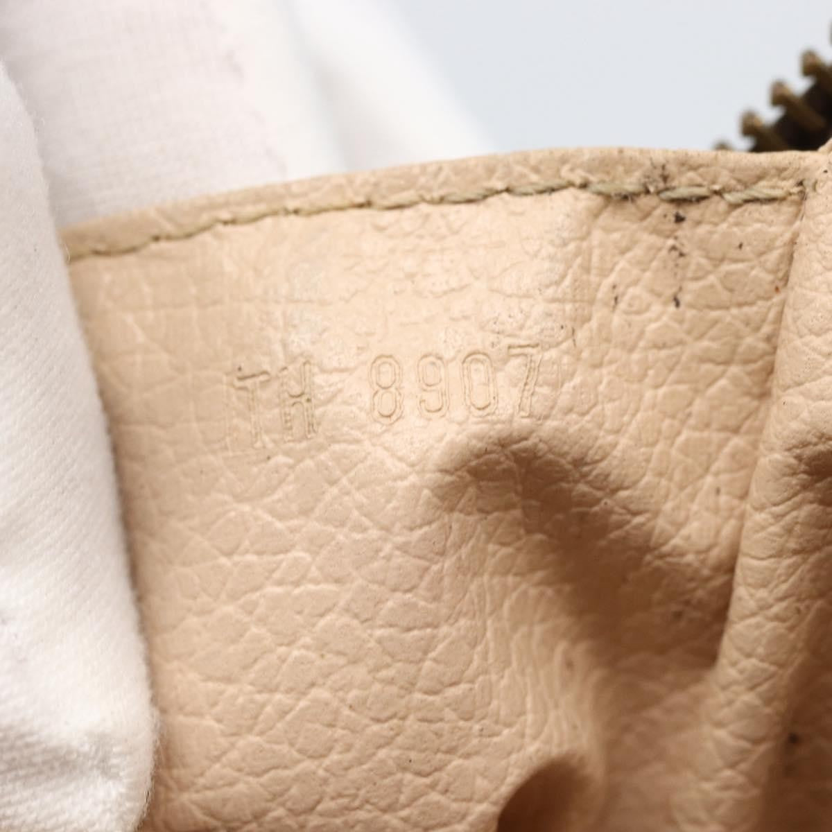 Louis Vuitton Trousse Toilette Monogram Canvas Brown Canvas Clutche & Pouche Bag