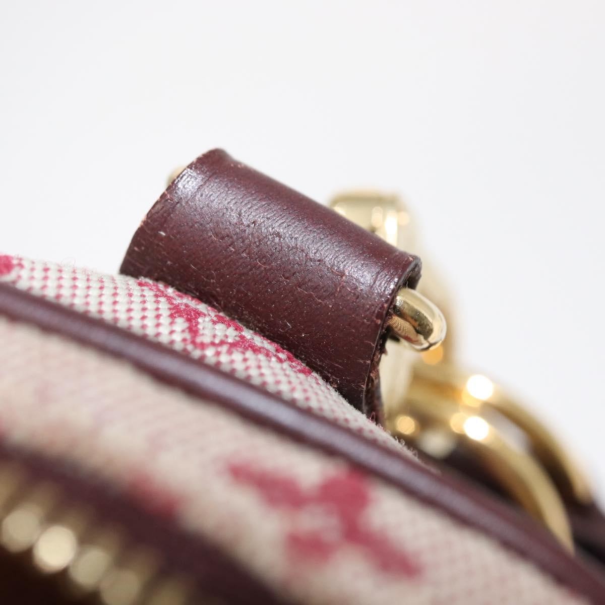 Louis Vuitton Camera Bag Mini Lin Red Canvas Clutche & Pouche Bag