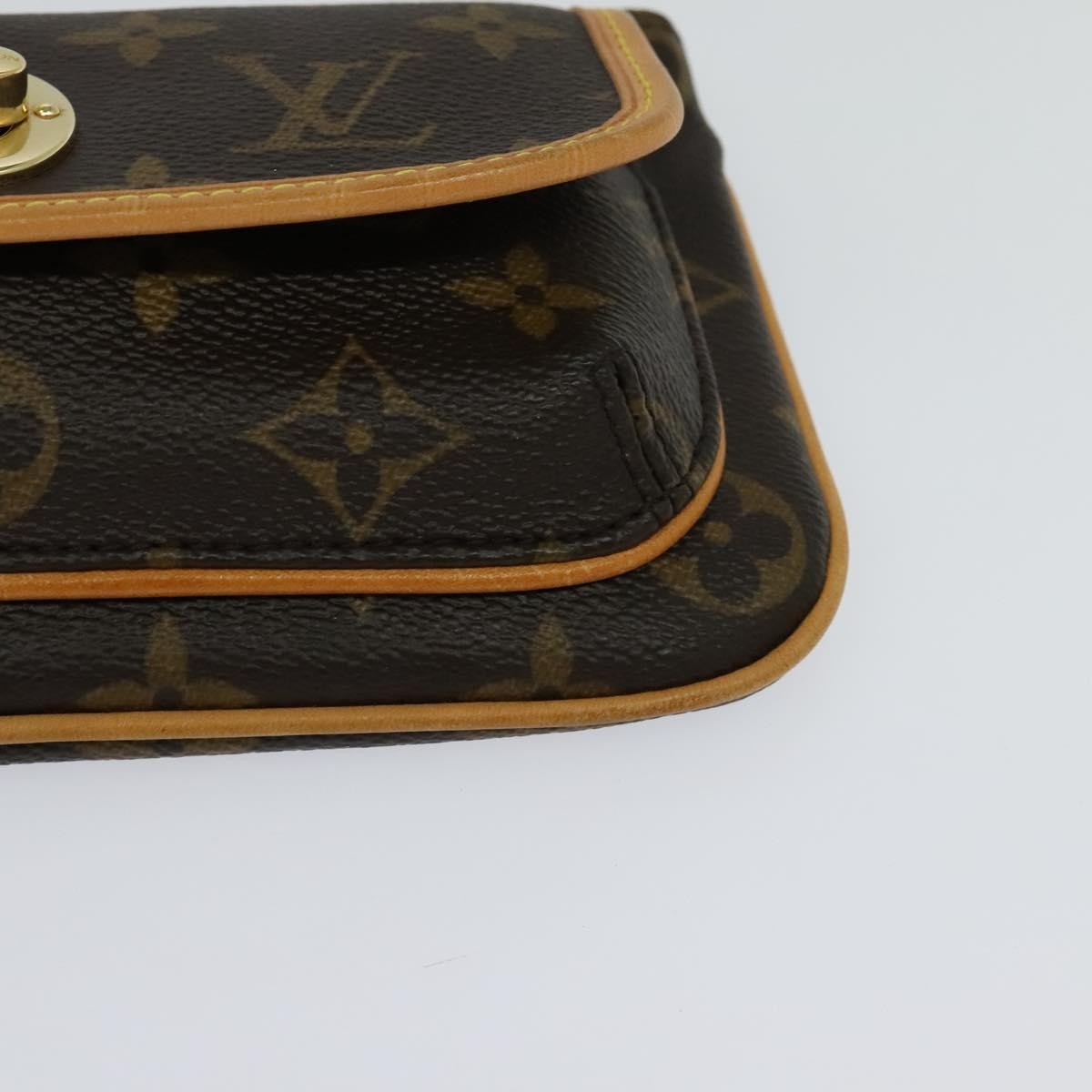 Louis Vuitton Tikal Wristlet Pochette Monogram Canvas Brown Canvas Bag