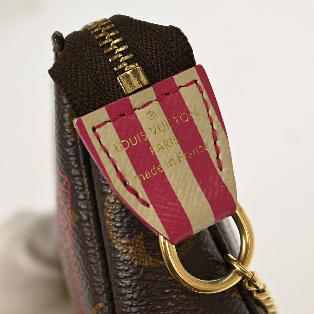 Louis Vuitton Pochette Accessoires Limited Edition Monogram Canvas Brown Canvas Clutche & Pouche Bag