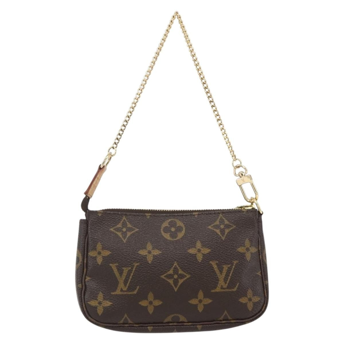 Louis Vuitton Pochette Accessoires Limited Edition Monogram Trunk Brown Canvas Clutche & Pouche Bag