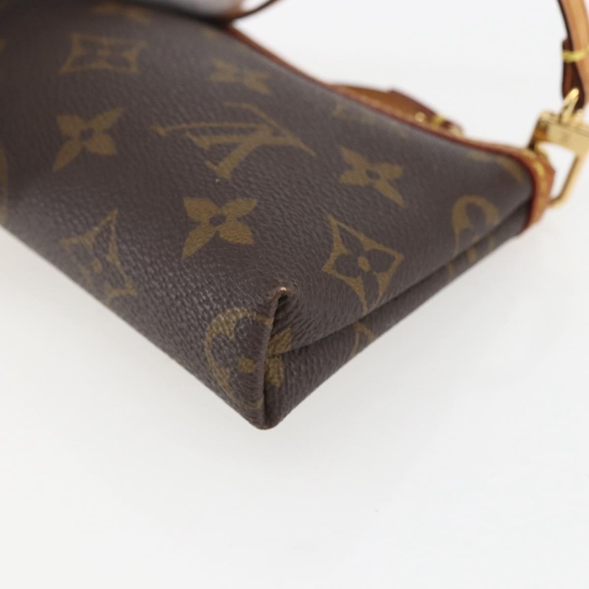 Louis Vuitton Delightful Pochette Monogram Canvas Brown Canvas Clutche & Pouche Bag