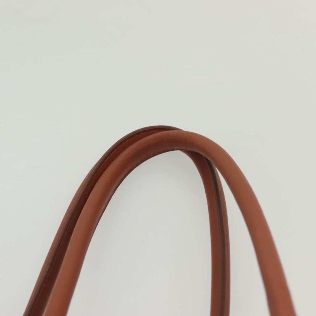 Balenciaga Panier Basket Tote Woven Raffia Pink Wood Tote Bag