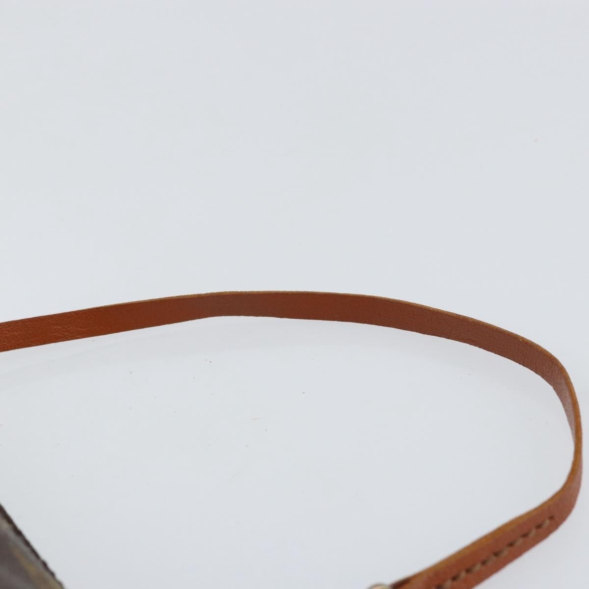 Louis Vuitton Papillon Pochette Monogram Canvas Brown Canvas Clutche & Pouche Bag