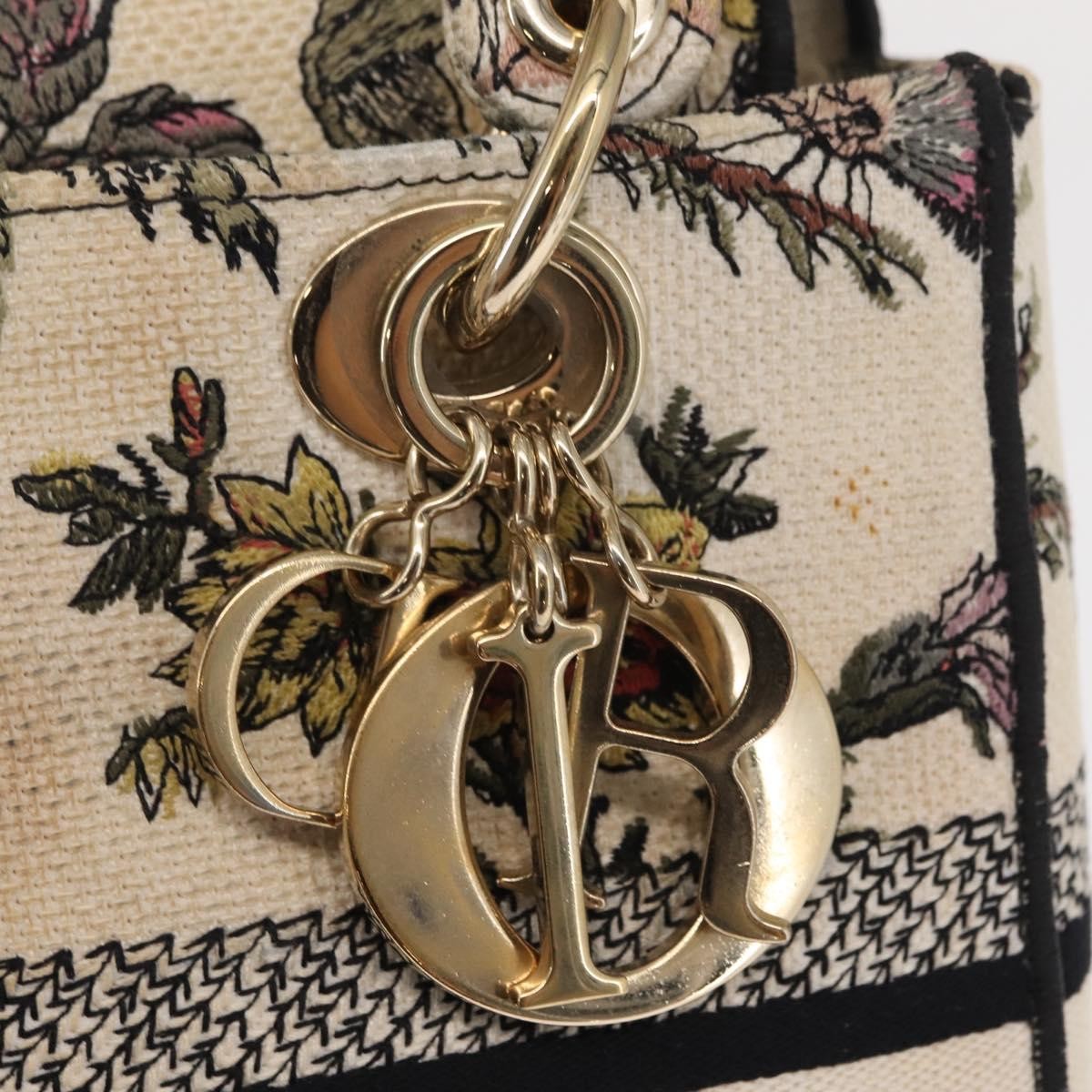 Christian Dior Lady D-Lite Bag Embroidered Canvas Multicolour Canvas Handbag (Pre-Owned)