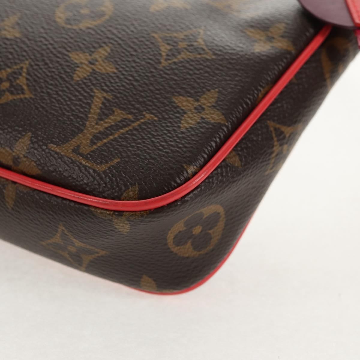 Louis Vuitton Pochette Accessoires Nm Limited Edition Totem Monogram Canvas Brown Canvas Clutche & Pouche Bag