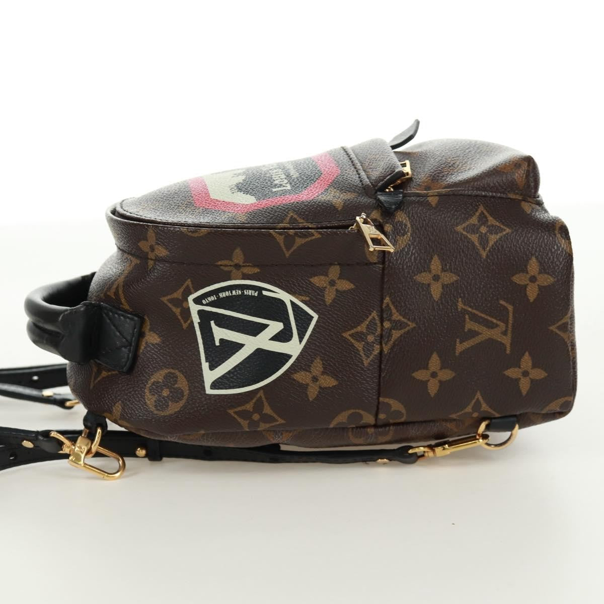 Louis Vuitton Palm Springs Backpack Limited Edition World Tour Monogram Canvas Brown Canvas Backpack Bag