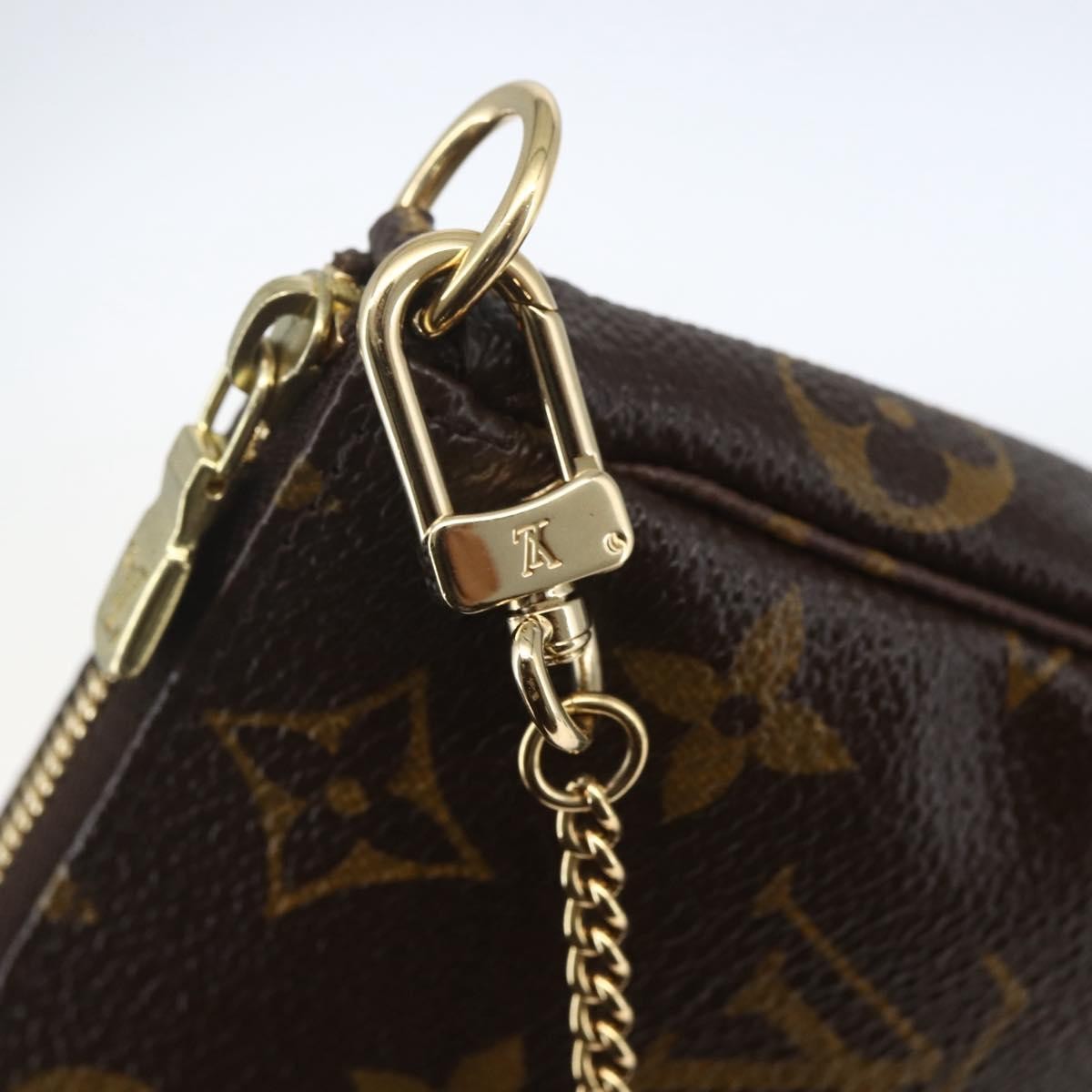 Louis Vuitton Pochette Accessoires Limited Edition Monogram Trunk Brown Canvas Clutche & Pouche Bag
