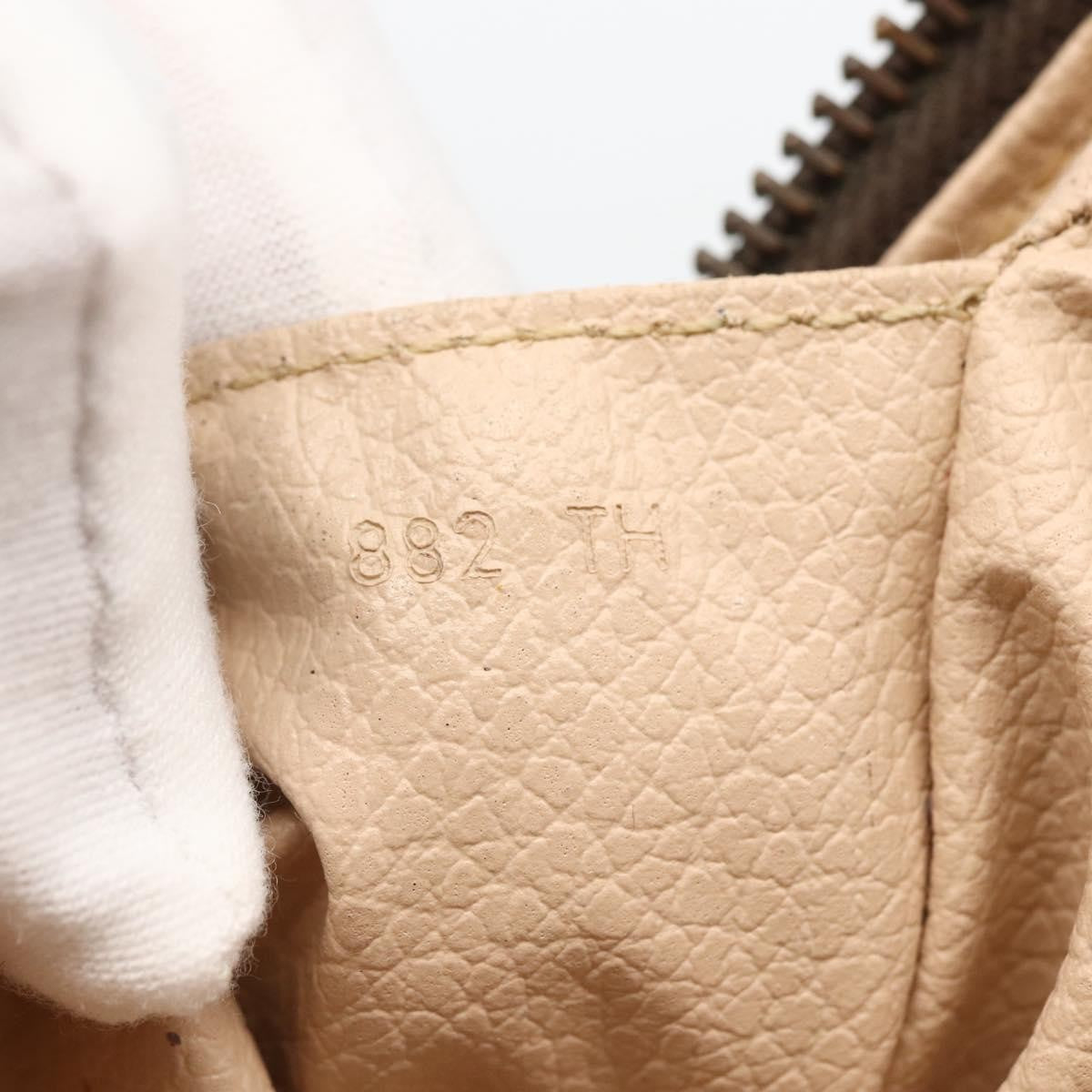 Louis Vuitton Trousse Toilette Monogram Canvas Brown Canvas Clutche & Pouche Bag