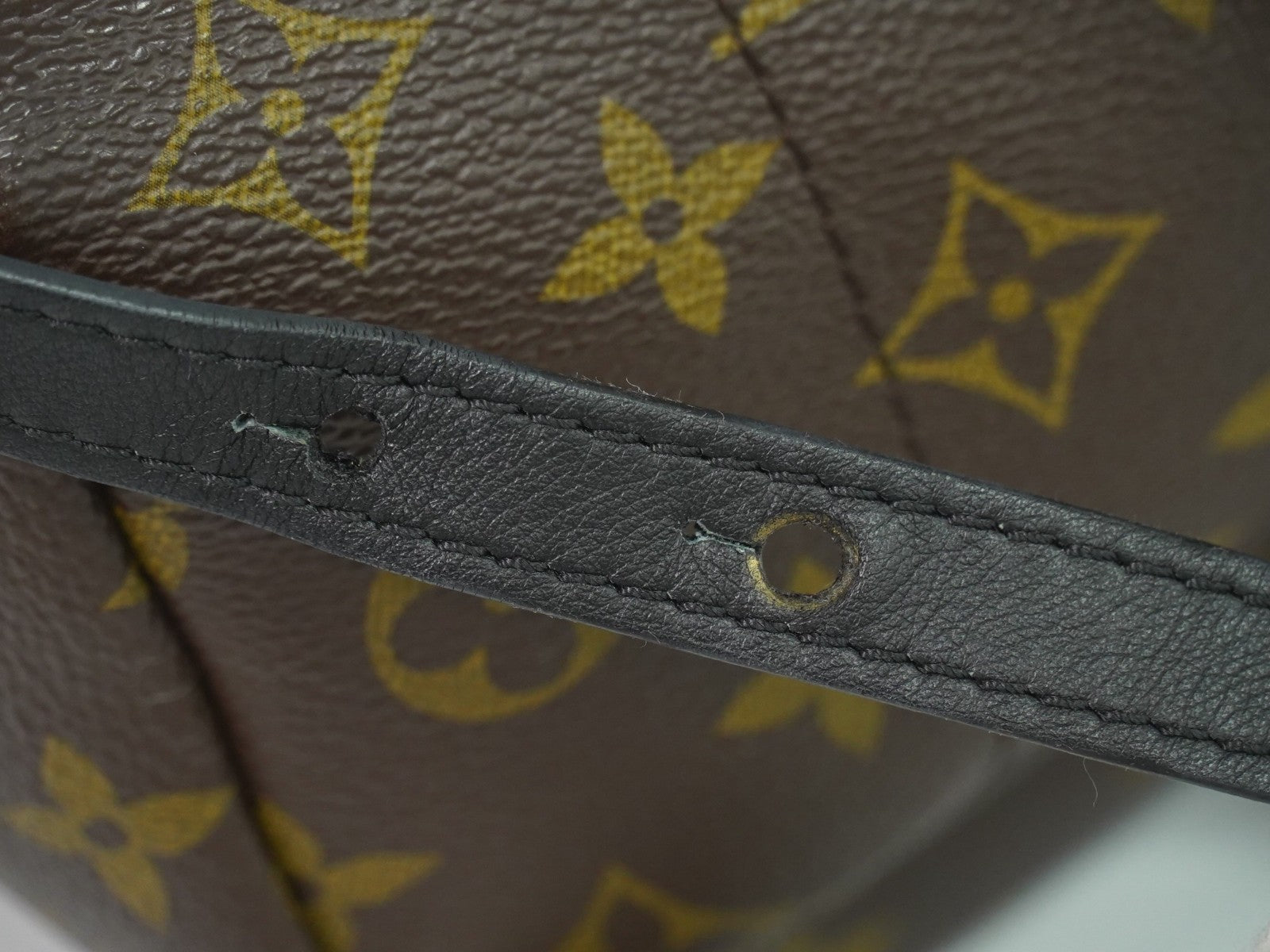 Louis Vuitton Palm Springs Backpack Monogram Canvas Brown Canvas Backpack Bag