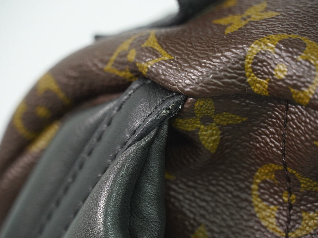 Louis Vuitton Palm Springs Backpack Monogram Canvas Brown Canvas Backpack Bag