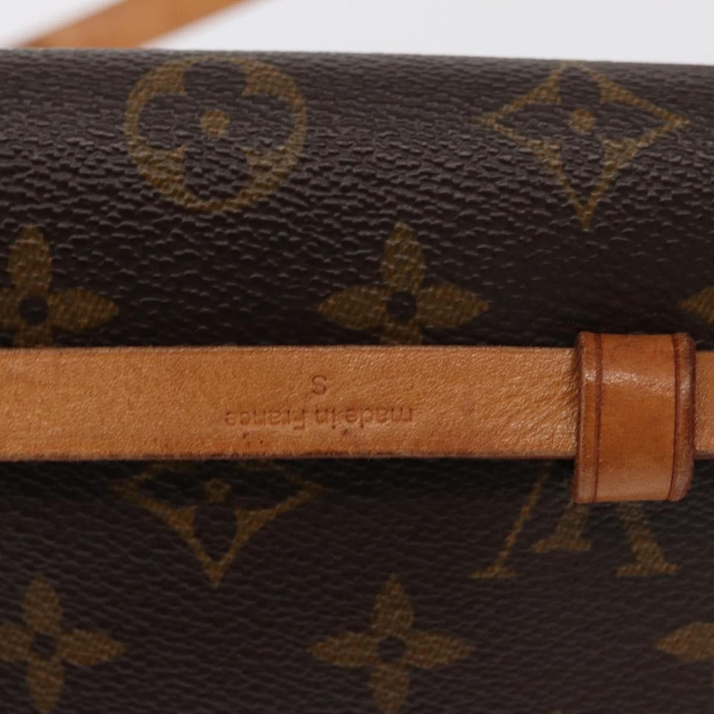 Louis Vuitton Florentine Waist Bag Monogram Canvas Brown Canvas Clutche & Pouche Bag