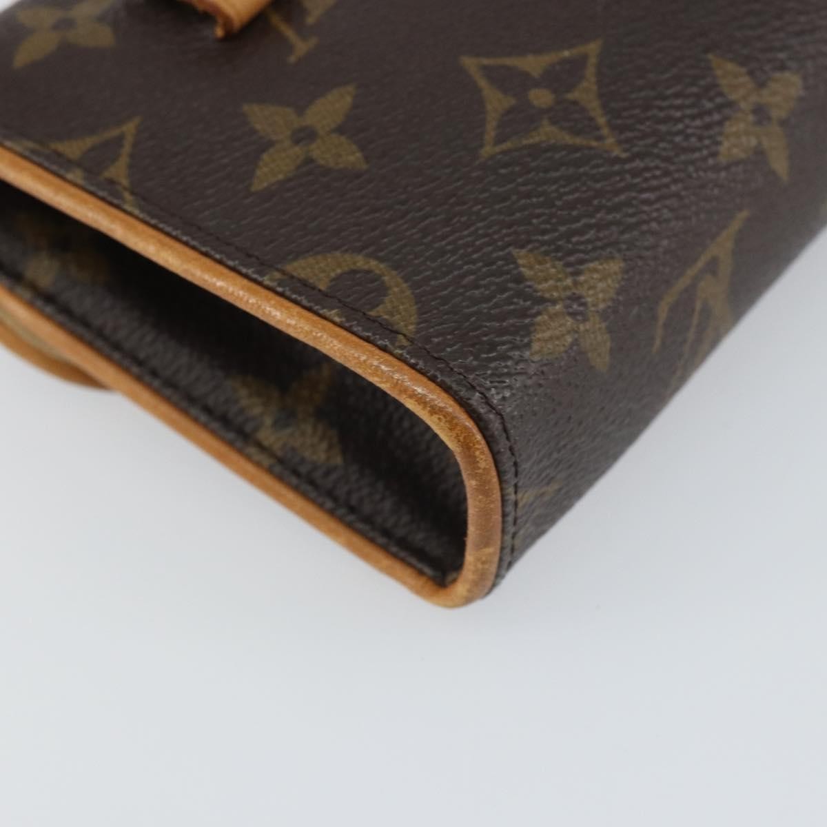 Louis Vuitton Florentine Waist Bag Monogram Canvas Brown Canvas Clutche & Pouche Bag