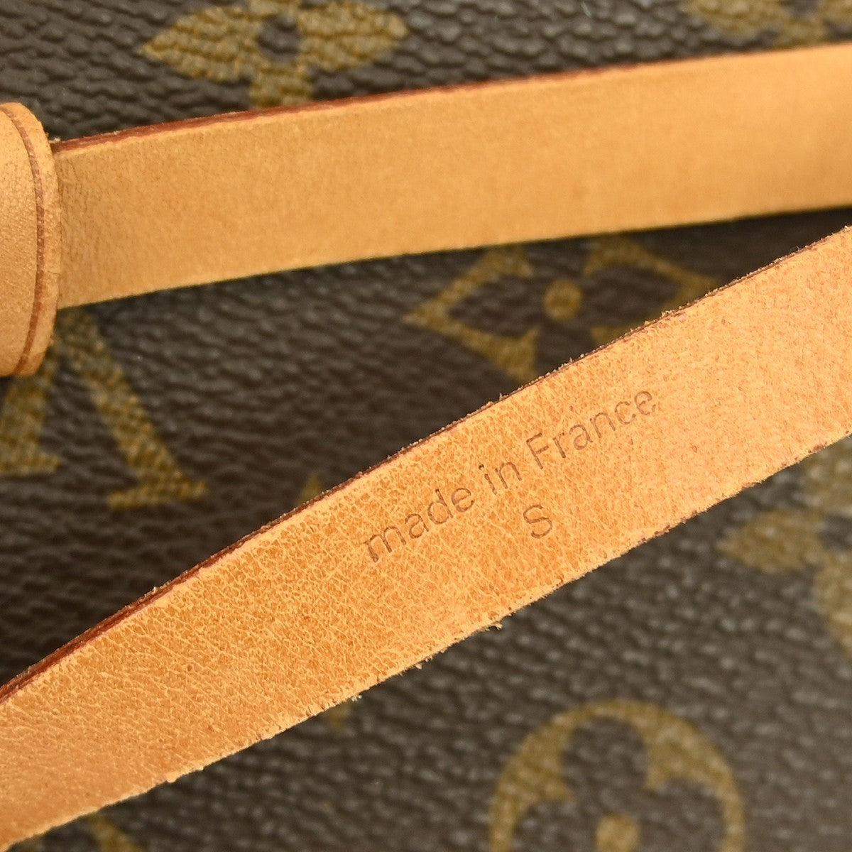 Louis Vuitton Florentine Waist Bag Monogram Canvas Brown Canvas Clutche & Pouche Bag