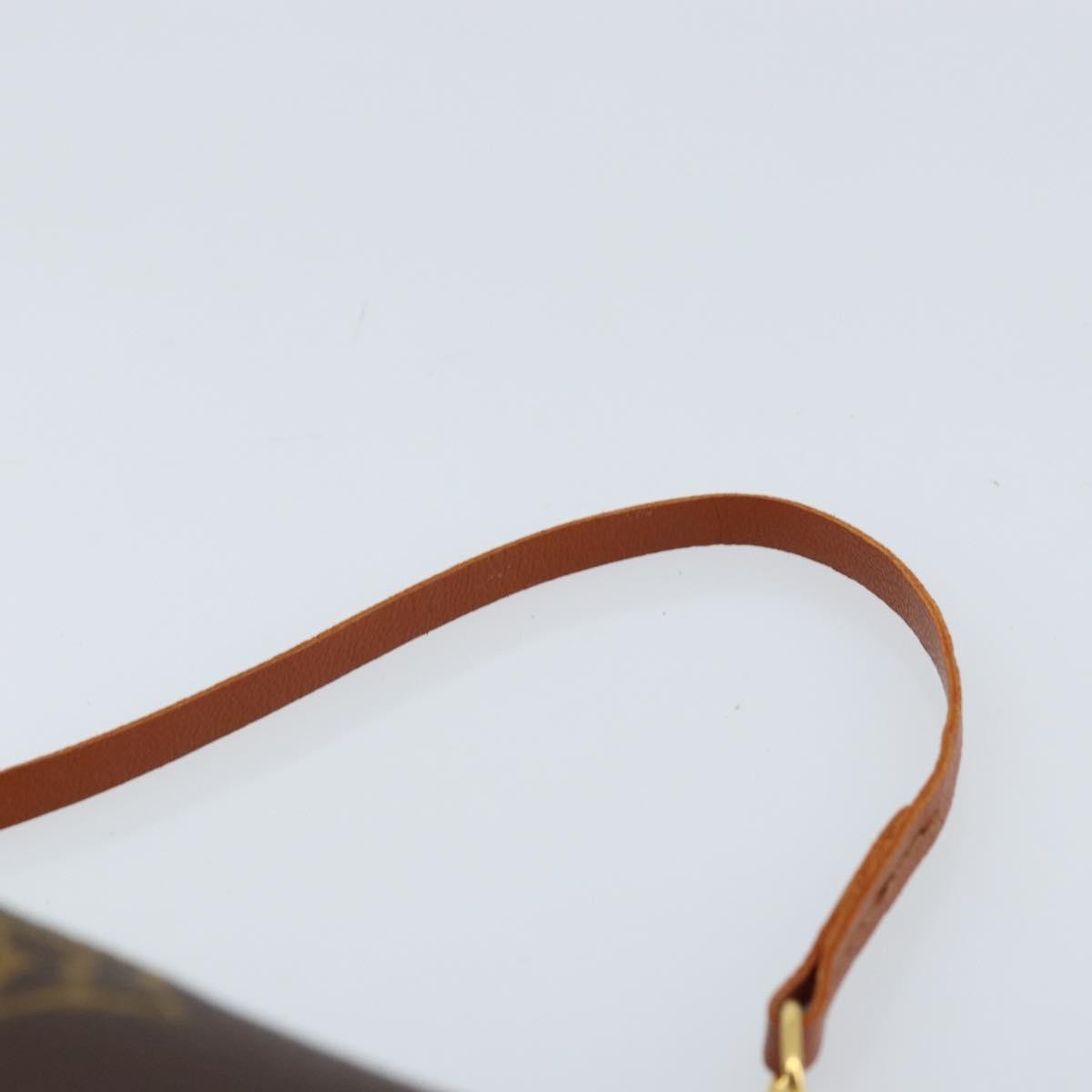 Louis Vuitton Papillon Pochette Monogram Canvas Brown Canvas Clutche & Pouche Bag