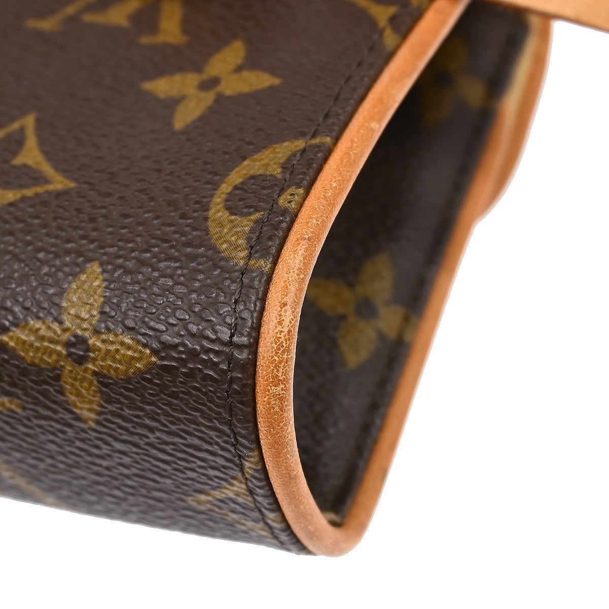 Louis Vuitton Florentine Waist Bag Monogram Canvas Brown Canvas Clutche & Pouche Bag