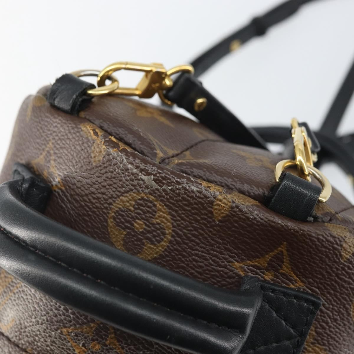 Louis Vuitton Palm Springs Backpack Monogram Canvas Brown Canvas Backpack Bag