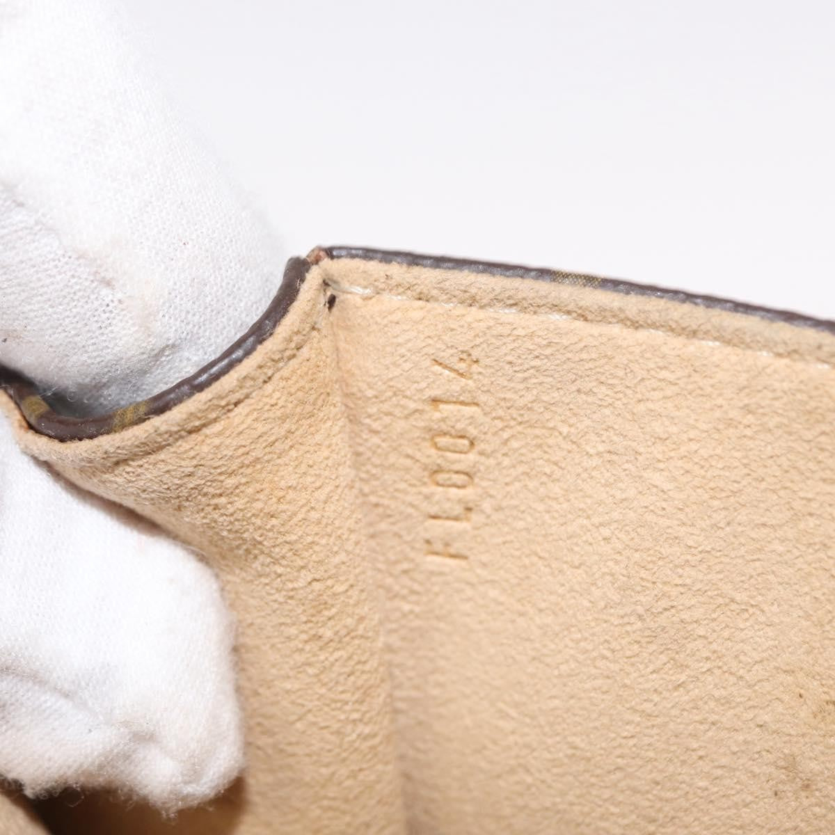 Louis Vuitton Florentine Waist Bag Monogram Canvas Brown Canvas Clutche & Pouche Bag