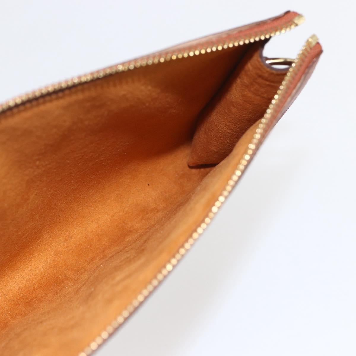 Louis Vuitton Pochette Accessoires Epi Leather Brown Leather Clutche & Pouche Bag