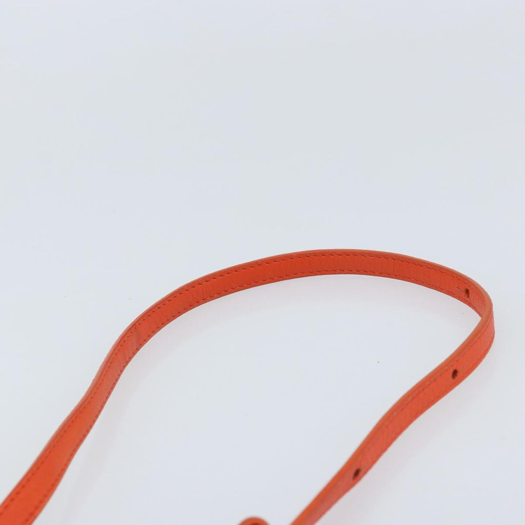 Celine Trio Crossbody Bag Leather Orange Leather Shoulder Bag Bag
