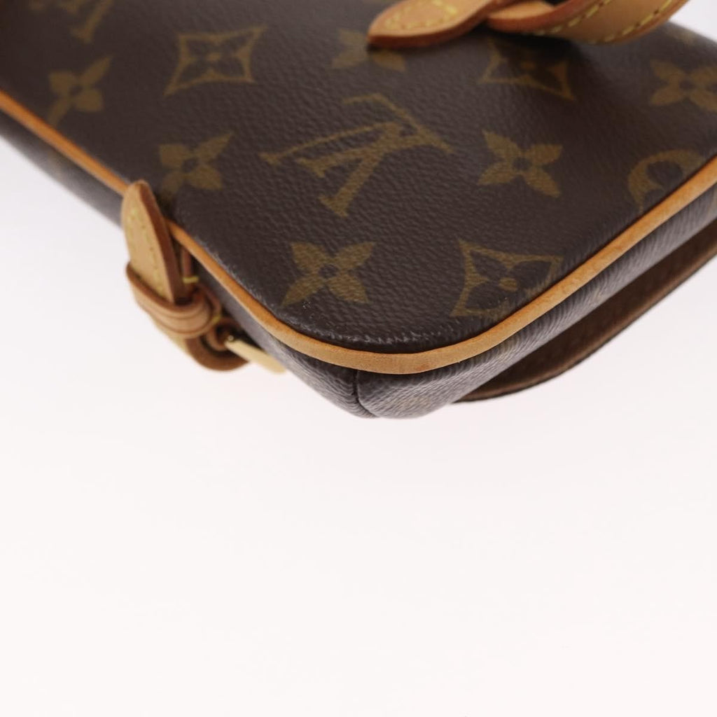 Louis Vuitton Marelle Waist Bag Monogram Canvas Brown Canvas Clutche & Pouche Bag